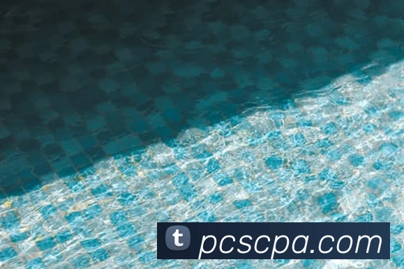 pa视讯服务体系